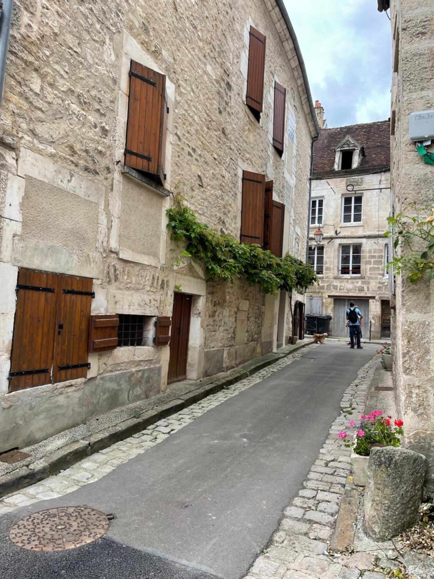 La Maison D'Alienor - Gites De Caractere A Chablis - 89 Ngoại thất bức ảnh